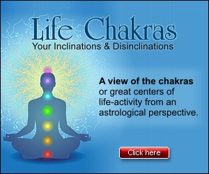 Life Chakra Report