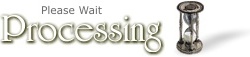 Processing Report